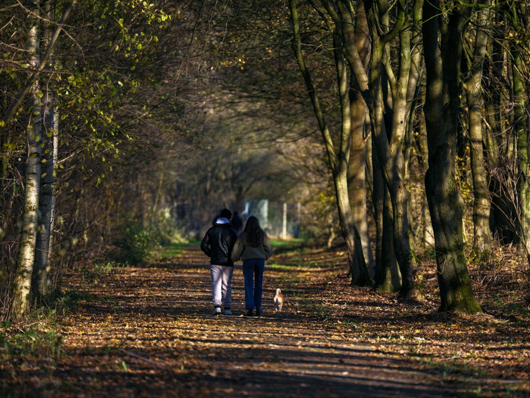 couple walking in park